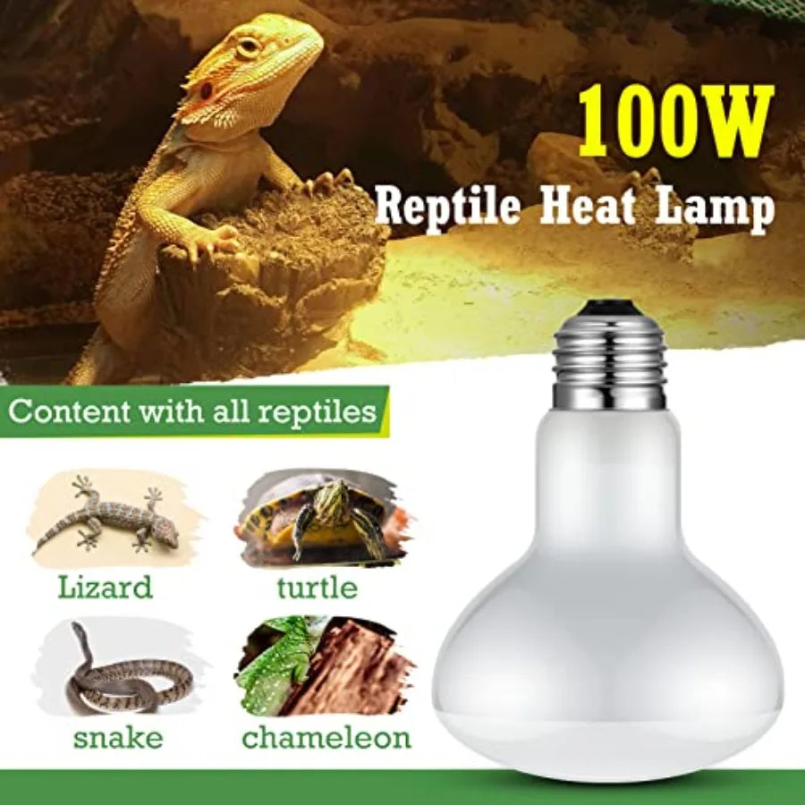 8 Pcs Reptile Heat Lamp Bulb, Reptile Basking Heat Light Bulb Uva Daylight for Bearded Dragon, Amphibian, Turtle, Lizard, Chick