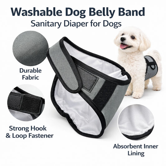 New Dog Training Pants Male Dog Heat Period Anti Harassment Old Dogs Diaper Anti Urination Breathable Washable Adjustable