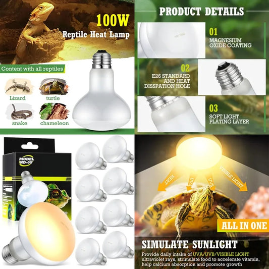8 Pcs Reptile Heat Lamp Bulb, Reptile Basking Heat Light Bulb Uva Daylight for Bearded Dragon, Amphibian, Turtle, Lizard, Chick