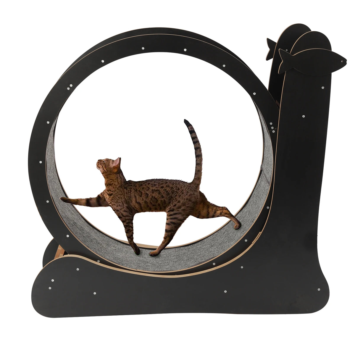 Furniture and Climbing Tool Black Cat Exercise Wheel for Cat, Large Cat Treadmill with Carpeted Runway, Kitty Cat Sport Toy, Fitness Weight Loss Device for Cats