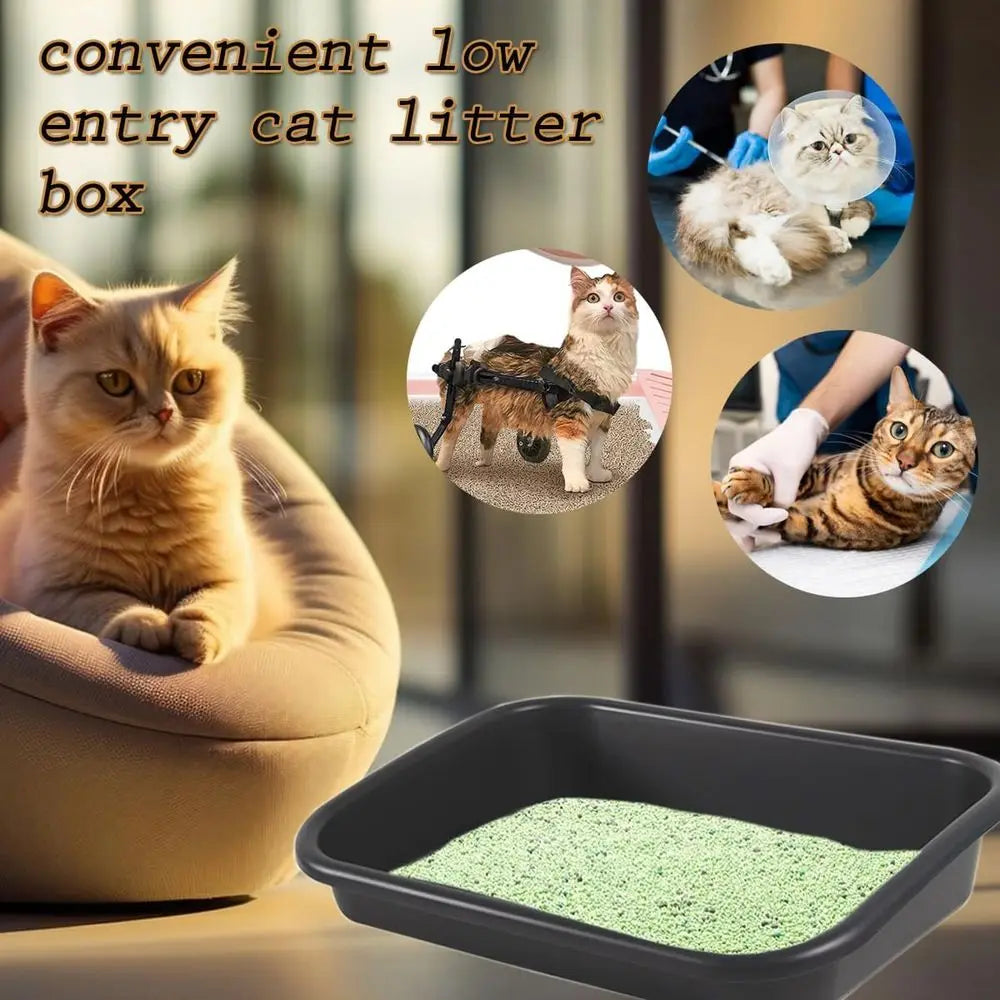 Extra Large Low Entry Litter Box for Senior Cats, Easy Clean, Ideal for Disabled, Elderly, or Kittens