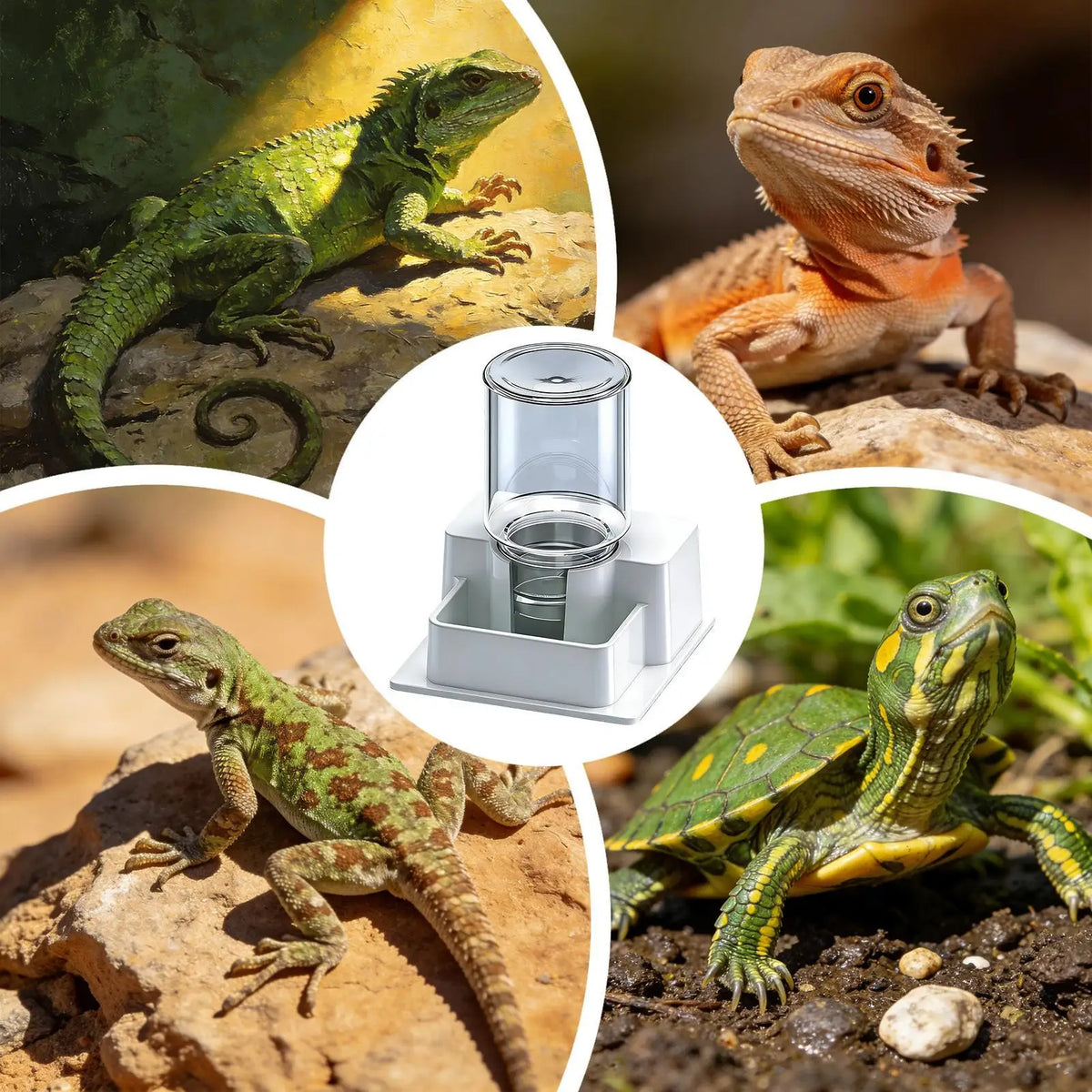 Automatic Gravity Water Dispenser Reptile Feeder Detachable Bowl for Lizard Snake Tortoise Chameleon Gecko No Electricity