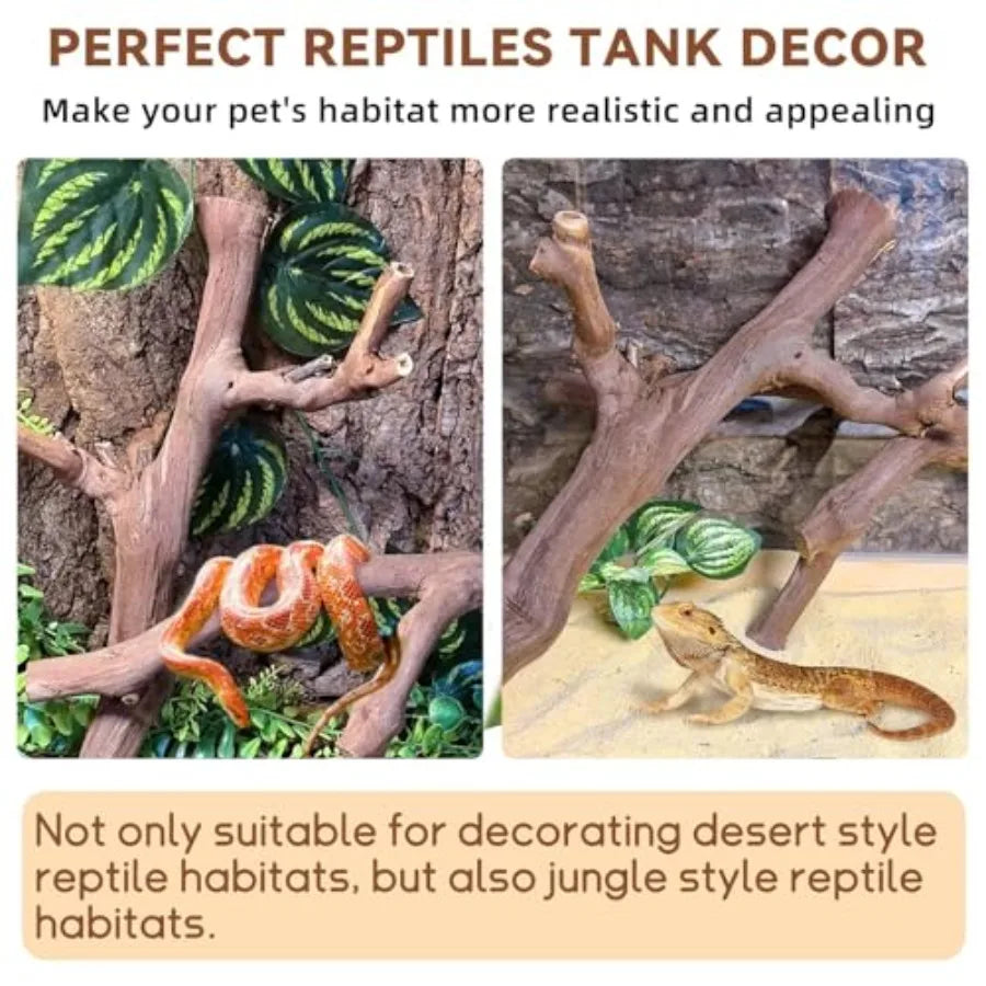 2PCS Reptile Wood Branches Decor, Lizard Habitat Natural Wood Decoration, Snake Climbing Branch Accessories, Terrarium Tree Tru