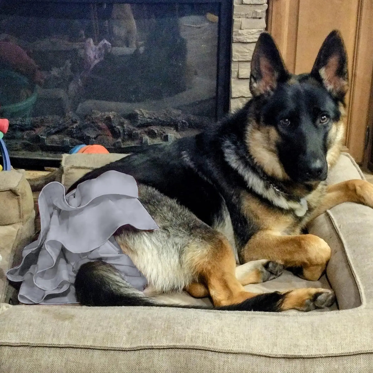 Dog Diapers Female (3 Pack), Highly Absorbent Puppy Doggie Dog Diapers For Female Dogs Period, Washable Doggy Female Dog Diapers For Dogs In Heat, Small Medium Large Size