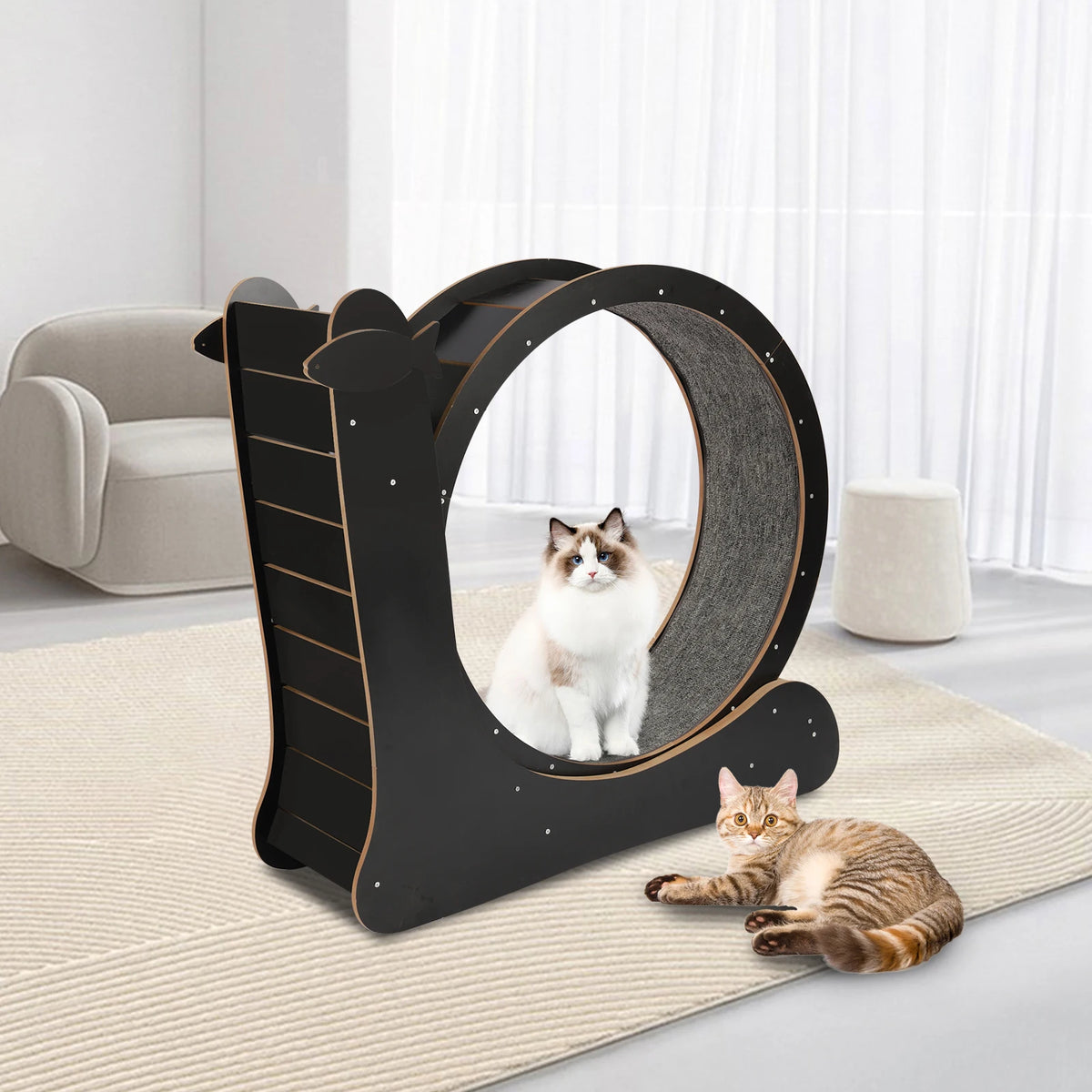 110*34*102cm Cat Exercise Wheel Large Cat Treadmill with Carpeted Runway Cat Sport Toy Fitness Weight Loss Device for Cats