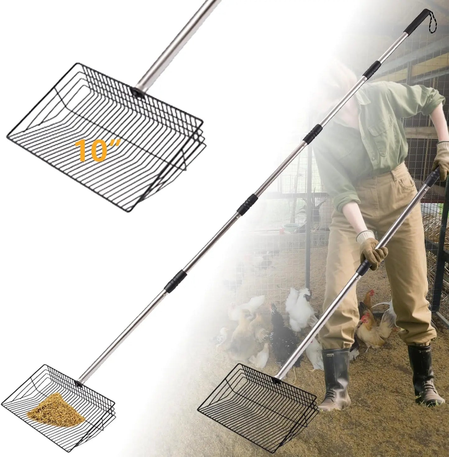Adjustable Stainless Steel Chicken Poop Scooper, 24" to 68" Handle for Sand, Pet, and Coop Cleaning (10 inch)