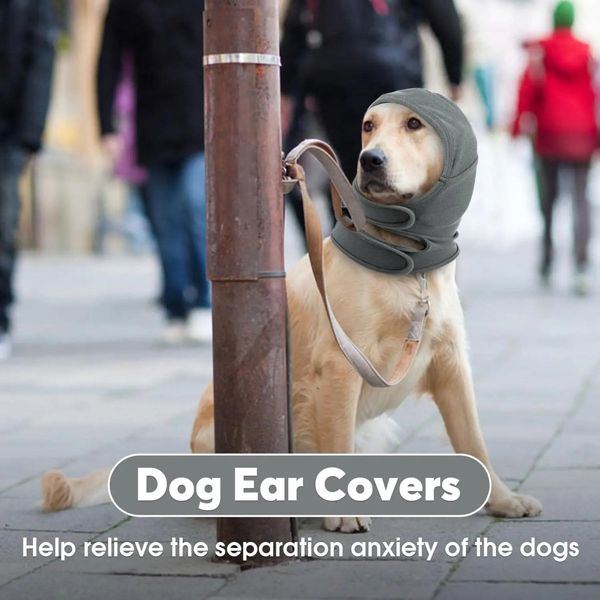Dog Ear Cover for Anxiety Relief, Adjustable Dog Calming Hood for Grooming Bath Drying, No Shake Pet Head Ear Wrap for Hematomas