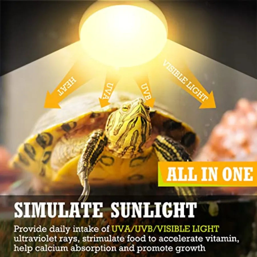 8 Pcs Reptile Heat Lamp Bulb, Reptile Basking Heat Light Bulb Uva Daylight for Bearded Dragon, Amphibian, Turtle, Lizard, Chick