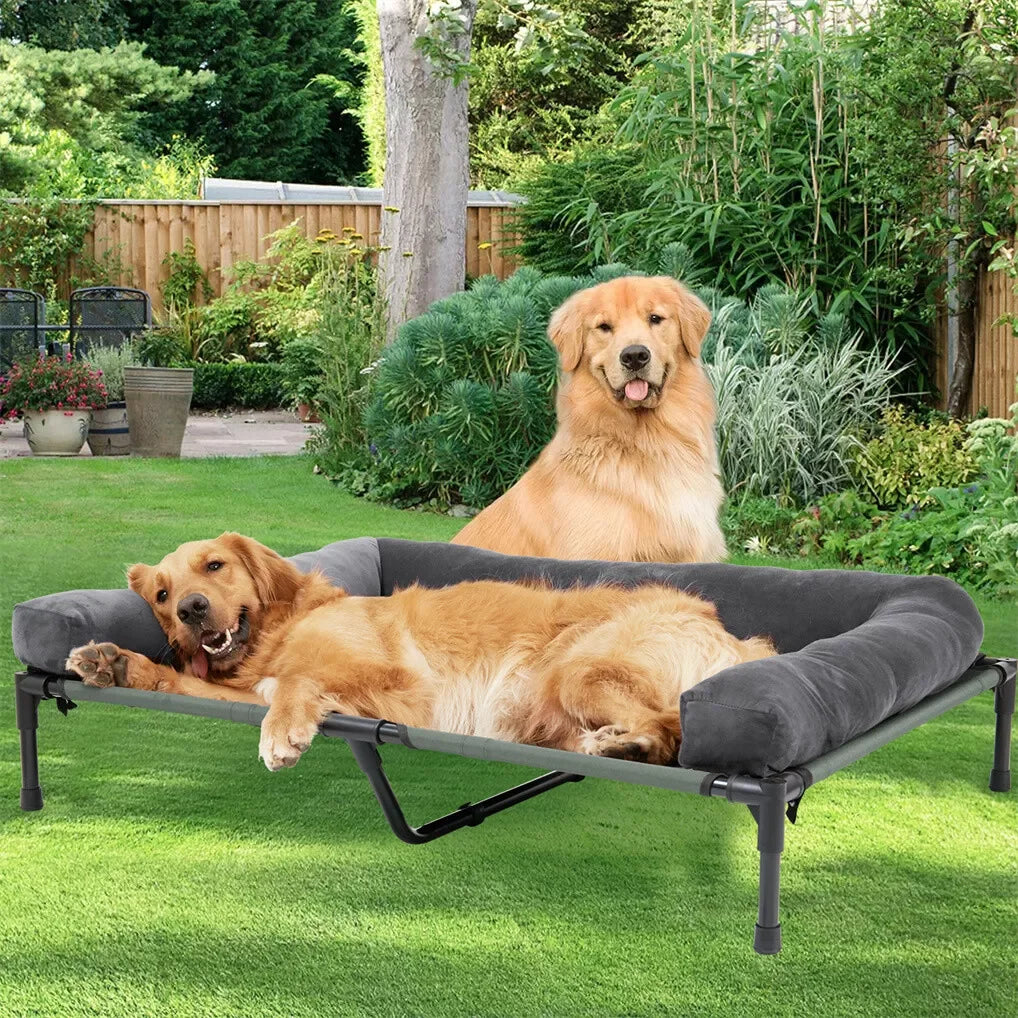 BINGOPAW Elevated Dog Bed Mesh Pet Cot with Detachable Plush Bolster Washable Raised Lounger for Indoor Outdoor Camping