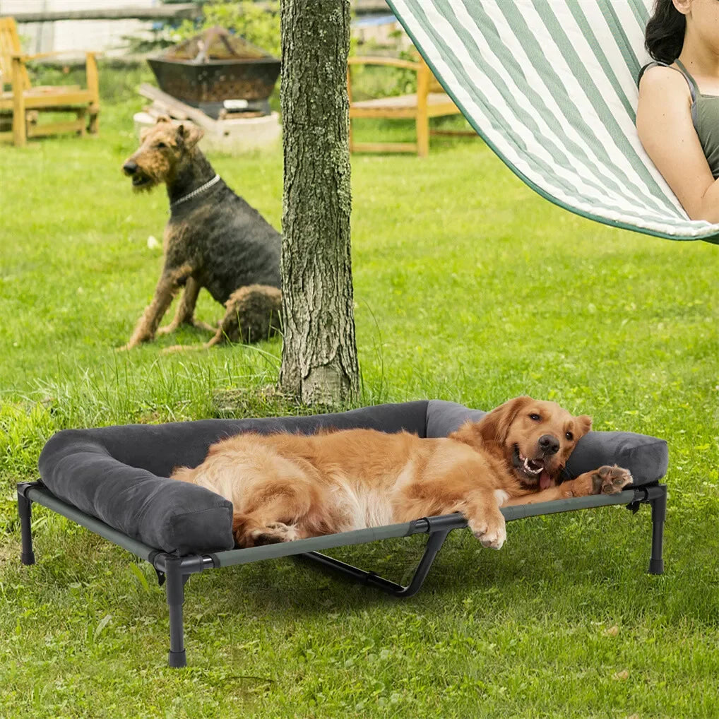 BINGOPAW Elevated Dog Bed Mesh Pet Cot with Detachable Plush Bolster Washable Raised Lounger for Indoor Outdoor Camping