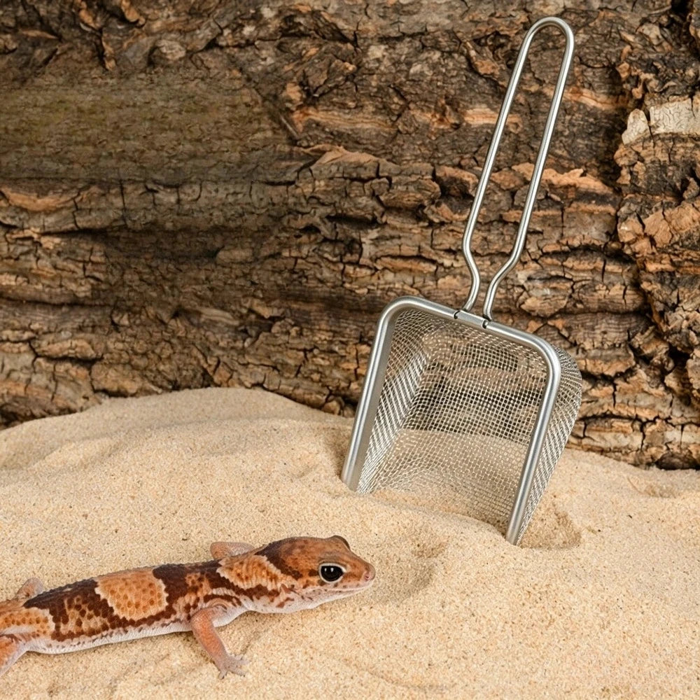 Reptile Enclosure Cleaning Scoop—Stainless Steel Sand Scoop Specifically Designed for Reptiles—For Cleaning Calcium Sand, Lizard