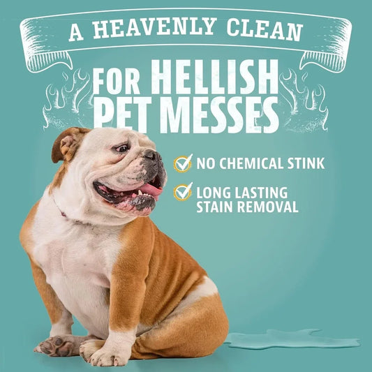 Enzyme Pet Stain Odor Remover Multi-Surface Cleaner Pet Urine Feces Vomit Freshness Bacteria Active Carpet Hardwood Fabric Tile