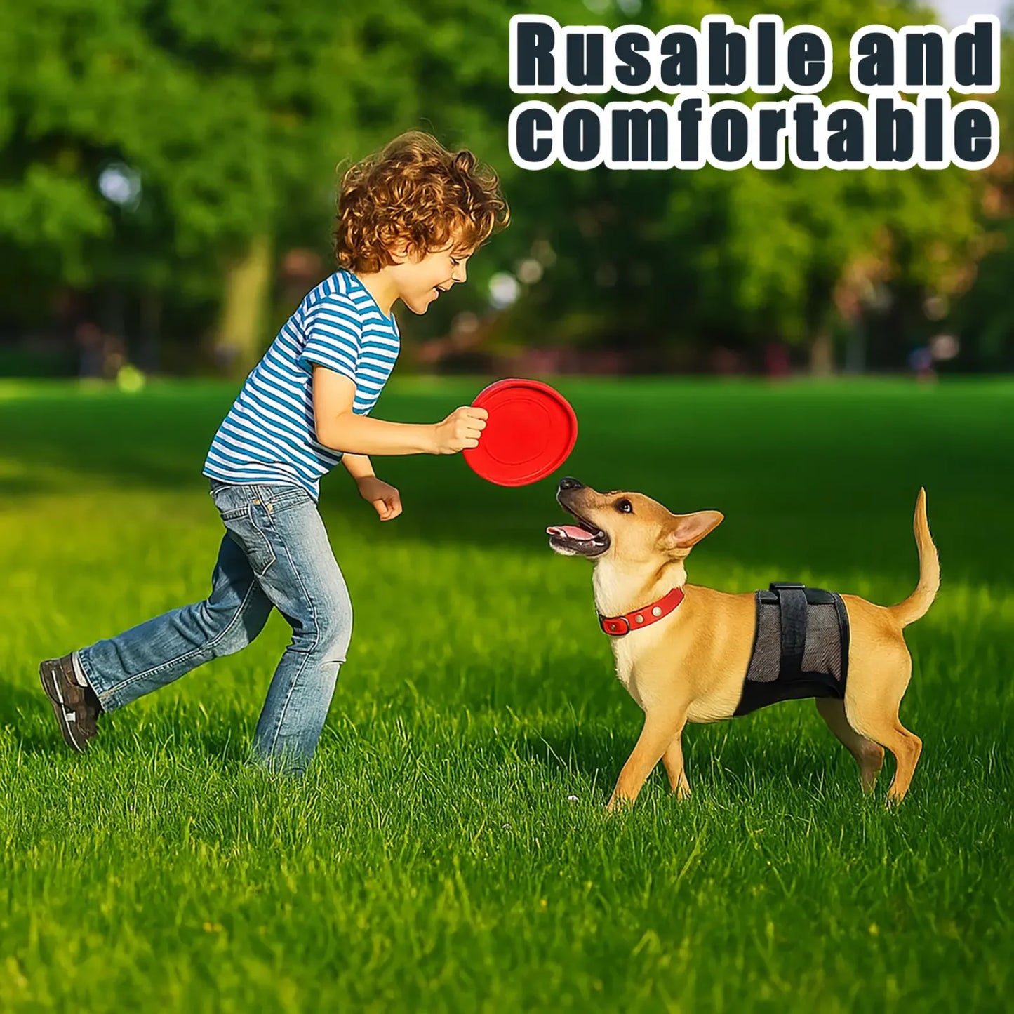 Male Dog Diaper Estrus Period Anti Harassment Safety Pants Mesh Fabric Breathable Adjustable Small Medium Large Dogs